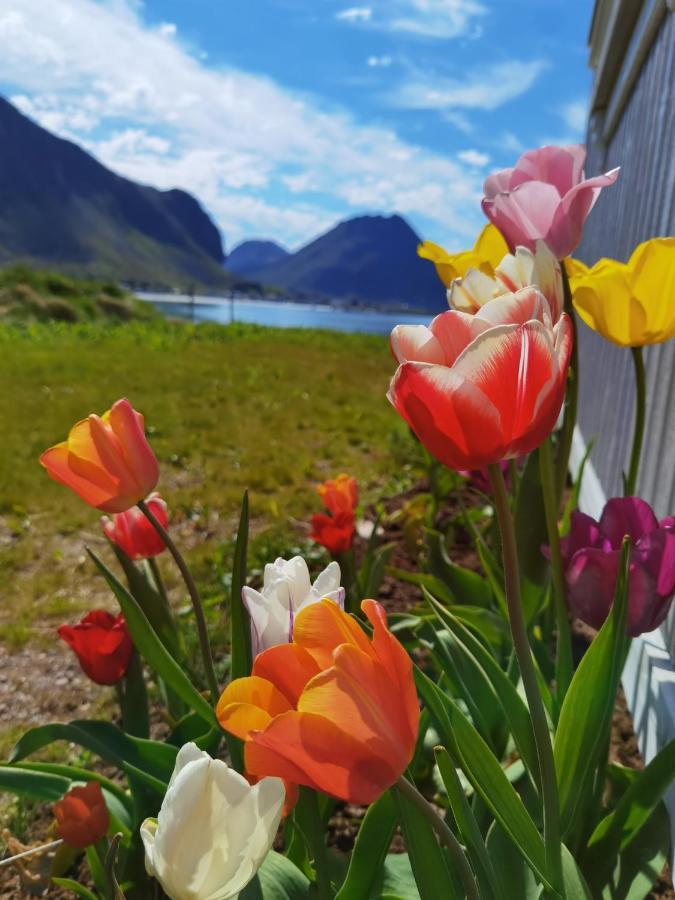 Banpim Beachside Lofoten Ramberg Exterior photo