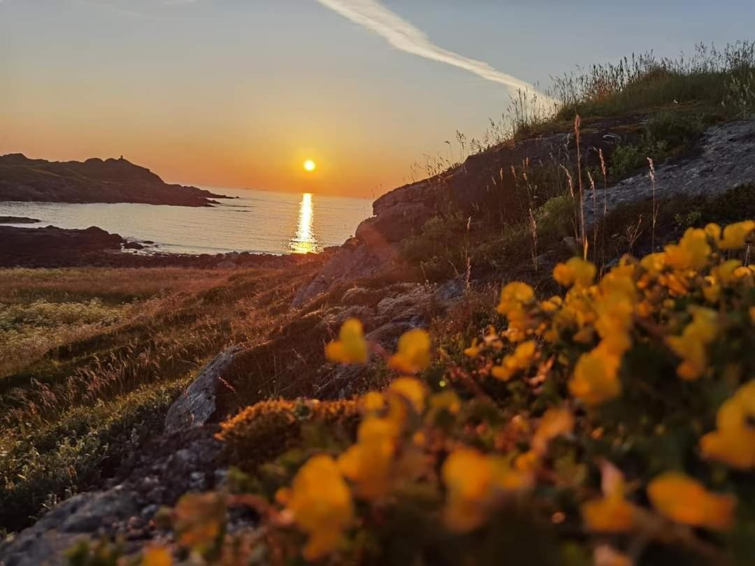 Banpim Beachside Lofoten Ramberg Exterior photo